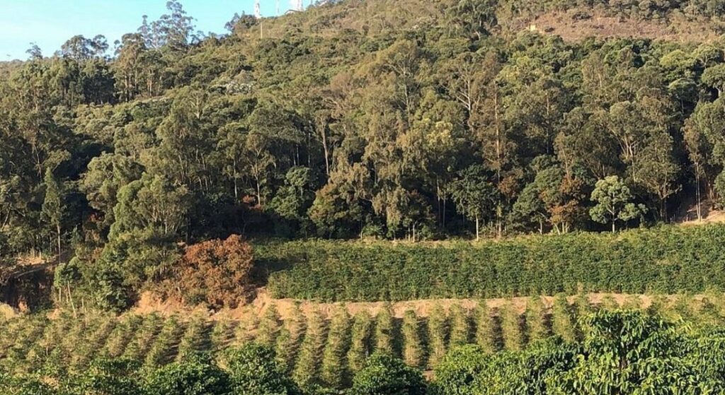 Vinícolas e Sítios de Café